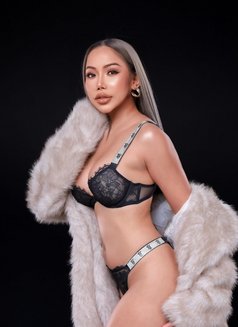 Ellie - puta in Ko Samui Photo 1 of 11