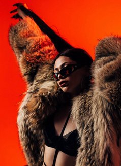 Ellina - escort in Tbilisi Photo 4 of 9