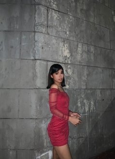 Ellise Garcia - Transsexual escort in Manila Photo 4 of 5