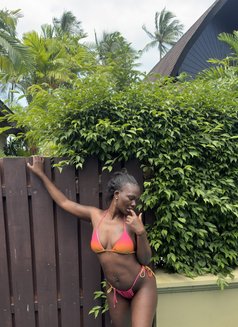 Ellison❣️ - escort in Ko Samui Photo 8 of 10