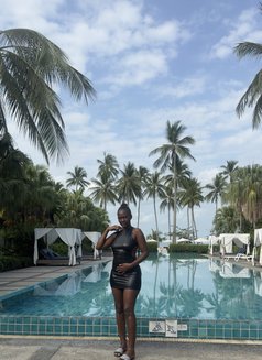 Ellison❣️ - escort in Ko Samui Photo 9 of 10