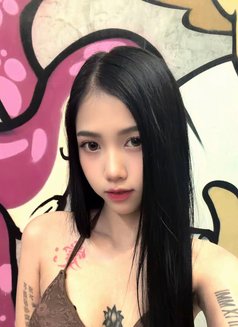 Elly 20'y in call2500฿ ! - escort in Chiang Mai Photo 10 of 19
