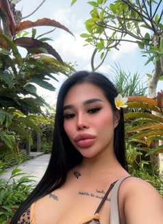 Elly New Girl Coming Soon - escort in Okinawa Island Photo 16 of 16