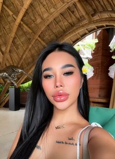 Elly - escort in Phuket Photo 20 of 27