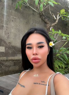 Elly - escort in Phuket Photo 21 of 27