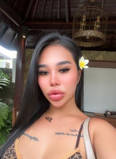Elly - escort in Phuket Photo 23 of 27