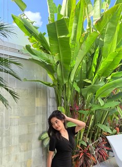 meylodie Very hot and good in everything - escort in Bali Photo 2 of 10
