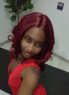 Elsa independent Escort 5O437O573 JVC - escort in Dubai Photo 10 of 10