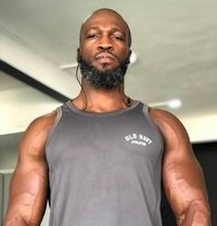 Elvis Bright De Awesome Cock - Acompañantes masculino in Dubai