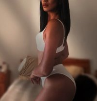 Elysian Transvest69 - Transsexual escort in Malta