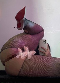 ELZA ( only incall ) - escort in Bangkok Photo 13 of 13