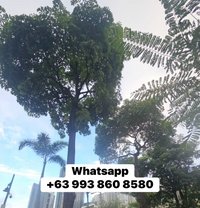 Eman - Transsexual escort in Colombo