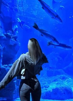 Melis - puta in Muscat Photo 9 of 21