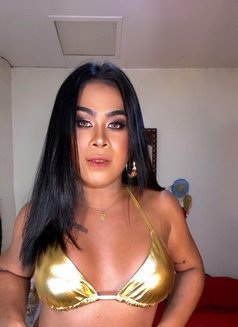 Emerald - Transsexual escort in Manila Photo 2 of 3