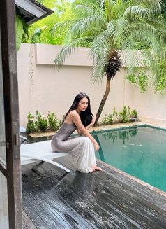 Emile Chang - escort in Bali Photo 1 of 11