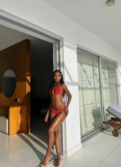 Emile Sweet Wet Girl - escort in Bali Photo 3 of 6