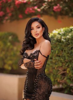 Catalina , nova - escort in Dubai Photo 6 of 7