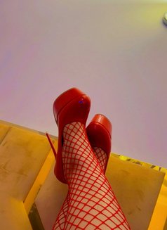 Emily Big Ass . 🥵 - escort in Muscat Photo 10 of 10