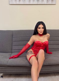 Emily Hot Asian Girl THE BEST GFE in JVC - escort in Dubai Photo 28 of 29