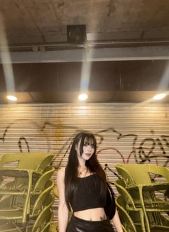Emily - Transsexual escort in New Delhi Photo 20 of 23