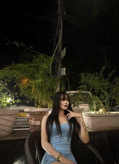 Emily - Transsexual escort in New Delhi Photo 22 of 23