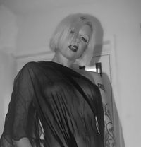 high class prostitution 24 hour escorts New South Wales high class prostitution 24 hour escorts New South Wales