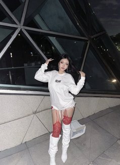 Emily Mixed Thai Japan - escort in Bangkok Photo 14 of 14