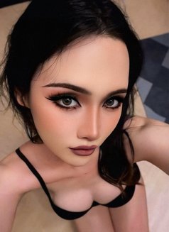 Emily So Hot - Transsexual escort in Chiang Mai Photo 1 of 5