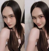 Emily So Hot - Transsexual escort in Chiang Mai