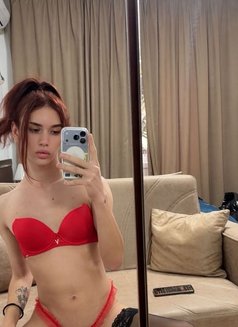 EmilyyLadboy21cm - Transsexual escort in Tbilisi Photo 6 of 8
