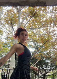 EmilyyLadboy21cm - Transsexual escort in Tbilisi Photo 7 of 8
