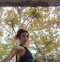 EmilyyLadboy21cm - Transsexual escort in Tbilisi