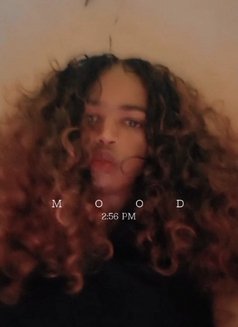 Emma bottom only - Transsexual escort in Dubai Photo 7 of 7