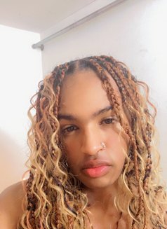 Emma - Acompañantes transexual in Dubai Photo 3 of 4