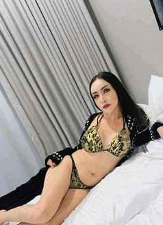Emma Lady Boy 🇹🇭 new Riyadh - Transsexual escort in Riyadh Photo 6 of 6
