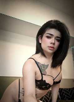 Emma - Acompañantes transexual in Dubai Photo 21 of 24
