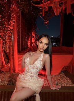 Emma sexy lady 🏳️‍⚧️ - Transsexual escort in Riyadh Photo 8 of 10