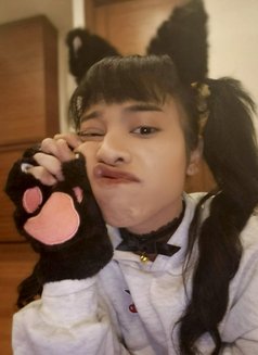 Emmi - puta in Bangkok Photo 2 of 6