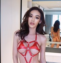 classy sexy yummy new in dubai - Transsexual escort in Dubai Photo 4 of 15