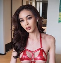 classy sexy yummy new in dubai - Transsexual escort in Dubai