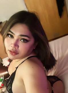 Emmie Thai Ts Visiting in London 🇬🇧 - escort in London Photo 1 of 7