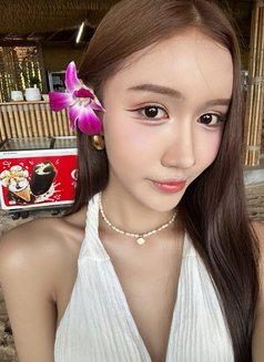 Emmilie Rose 🇻🇳 🇱🇦 - escort in Bangkok Photo 23 of 24
