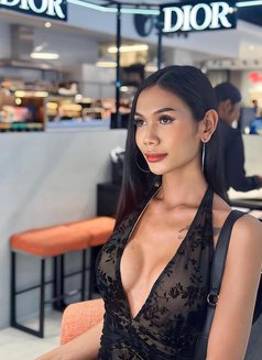 Emmy Both Lb - Transsexual escort in Phuket Photo 2 of 3