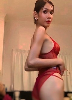 Emmy Ladyboy - Transsexual escort in Phuket Photo 4 of 4