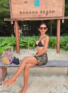 Emmy Ladyboy - Transsexual escort in Phuket Photo 3 of 4