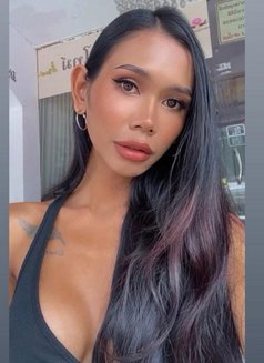 Emmy Ladyboy - Transsexual escort in Phuket Photo 1 of 5