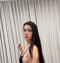 Emmy New Ladyboy - Transsexual escort in Khobar