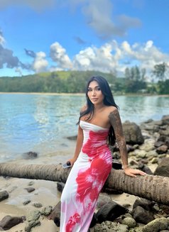 Emmy Panisara - escort in Phuket Photo 3 of 11
