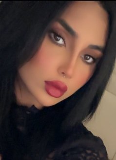 Emmy ايمي - Transsexual escort in Jeddah Photo 3 of 11