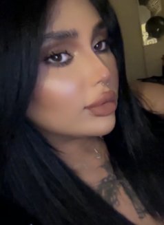 Emmy ايمي - Transsexual escort in Dubai Photo 11 of 14